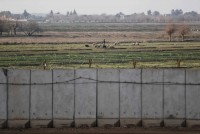 الجيش-العراقي:-أنجزنا-80-%-من-الجدار-الكونكريتي-مع-سوريا