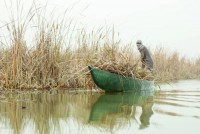 موجة-جفاف-كبيرة-تضرب-أهوار-العراق-وخشية-من-هجرة-سكانها