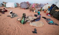 تقارير-حول-موت-أشخاص-بسبب-الجوع-في-السودان