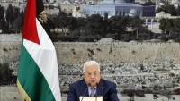 فصائل-ومؤتمرات-فلسطينية-ترفض-مرسوم-عباس..-وتدعو-لاصطفاف-وطني-شامل
