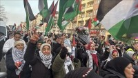 استطلاع:-غالبية-الألمان-يؤيدون-الاعتراف-بدولة-فلسطينية-وضرورة-الضغط-على-إسرائيل