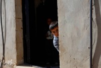 «الصحة-الفلسطينية»:-زيادة-في-حالات-الإصابة-بالسرطان-في-الضفة