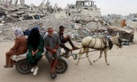 حمير-من-غزة-تحط-في-حدائق-ألمانيا..-وأطفالها-الجرحى-عالقون-خلف-الأسلاك