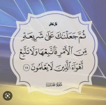 يتواصل-الخراب-القيمي-والخلقي-واستهداف-كل-ماهو-جميل-ونظيف-ليحل-محله-التافه