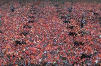 الاتراك-شعب-عاقل-مثقف